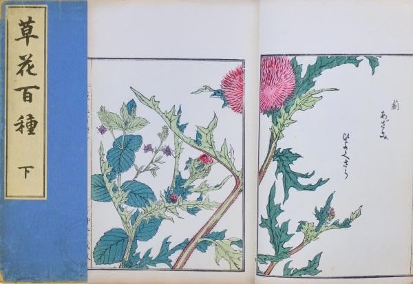 1901 Kono Bairei Seiko 100 Varieties of Flowers Woodblock Print Book Meiji: 1901 Kono Bairei Seiko 100 Varieties of Flowers Woodblock Print Book Meiji Item Specifics: Artist: Kono Bairei Kono Seiko Subject: Flowers Botanicals Material: Paper Woodblock Ink Style: Japanese Size