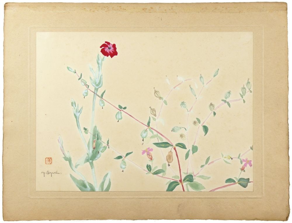 Oguri Yoshiji Bladder Campion Japanese Woodblock Print Signed Flower Art: Oguri Yoshiji Bladder Campion Japanese Woodblock Print Signed Flower Art Item Specifics: Artist: Oguri Yoshiji Subject: Botanical Material: Paper Style: Japanese Size: 24 x 32.8 cm Product