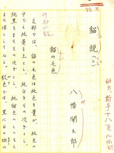 Japanese Manuscript Nekosetsu II Cat Theory Draft By Yahata Kantaro (1 of 1)