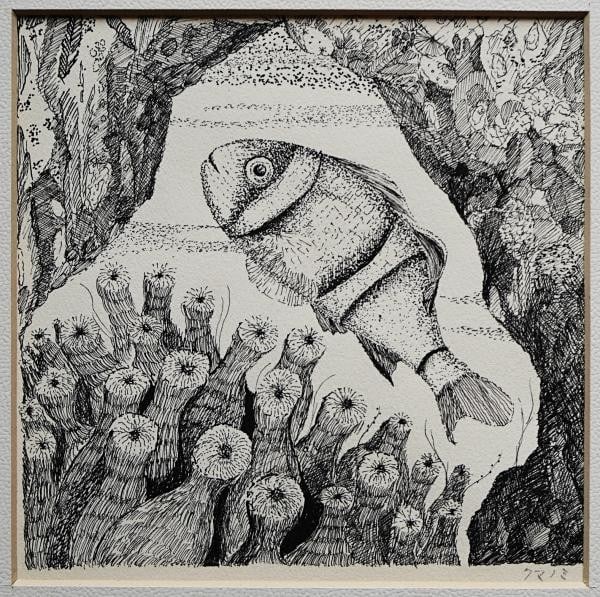 Asahi Shimbun Clownfish Illustration Art by Hiwasaki Takao Original Pen Drawing (1 of 7)