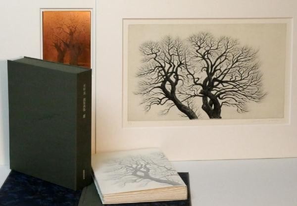 Kimura Copperplate Print Portfolio Itsuki Ltd Ed 12 Original Plate: Kimura Copperplate Print Portfolio Itsuki Ltd Ed 12 Original Plate Item Specifics: Artist: Shigeru Kimura Subject: Nature Trees Material: Paper Copperplate Style: Japanese Product Disclaimer: Please r