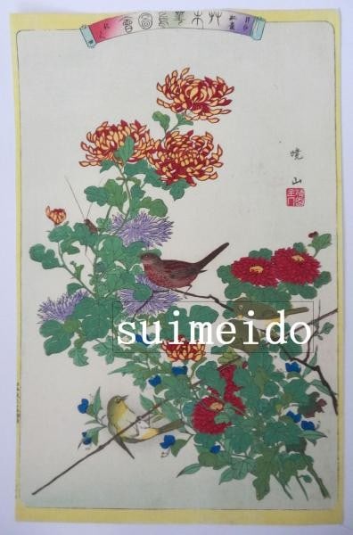 Mejiro bird flower chrysanthemum gyozan antique print: Mejiro bird flower chrysanthemum gyozan antique print Item Specifics: Artist: Gyozan Subject: Birds and Flowers (Kacho-e) Material: Paper Style: Japanese Size: 36 x 23 cm Product Disclaimer: Please re
