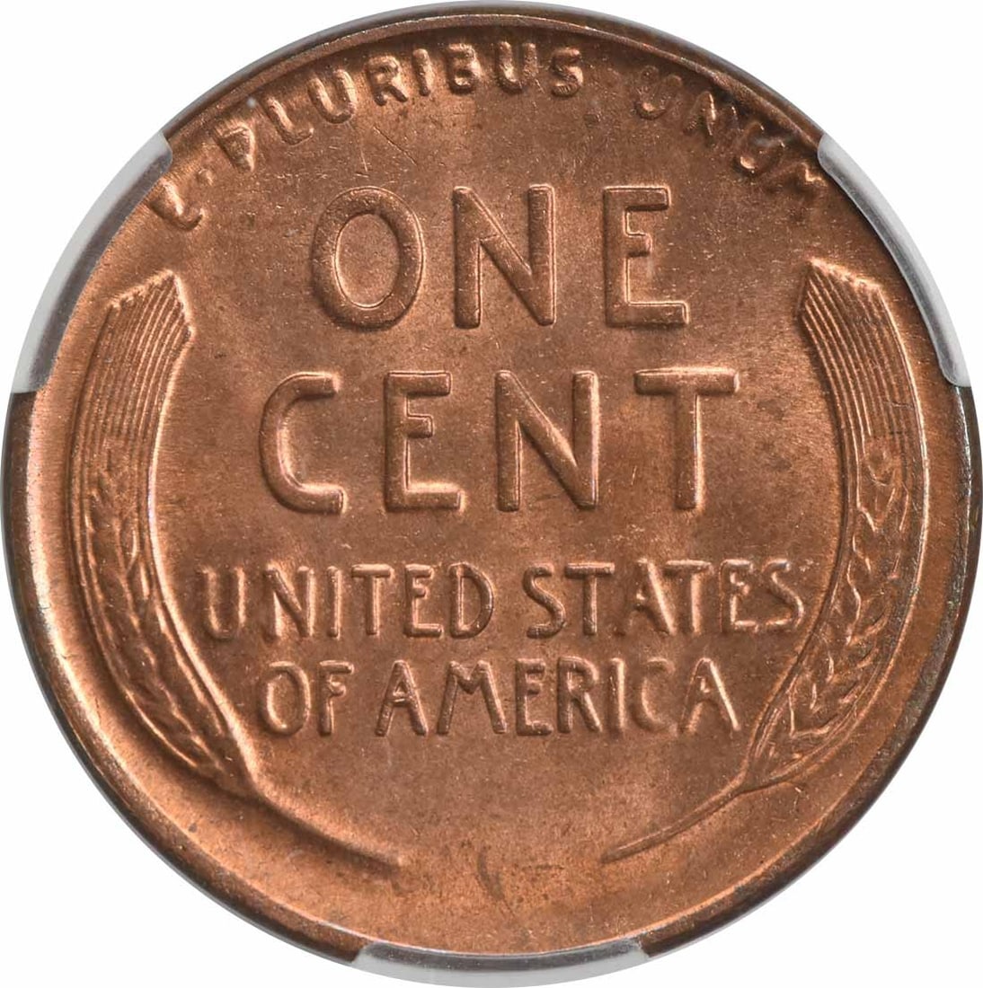 MS64+RD CACG Lincoln Cent 1925-D - 3