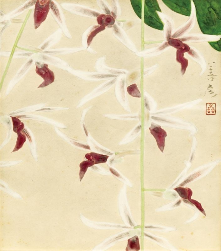 Yoshihiko Yoshida Framed Shikishi Woodblock Print Orchid Western Orchid Japan (1 of 1)
