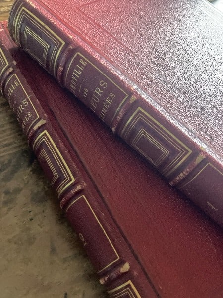 1867 Les Fleurs Animees J Grandville 2 Vols Complete Hand Colored Engravings: 1867 Les Fleurs Animees J Grandville 2 Vols Complete Hand Colored Engravings Item Specifics: Artist: J.J. Grandville Subject: Botanical Illustration & French Romantic Fantasy Art Material: Paper