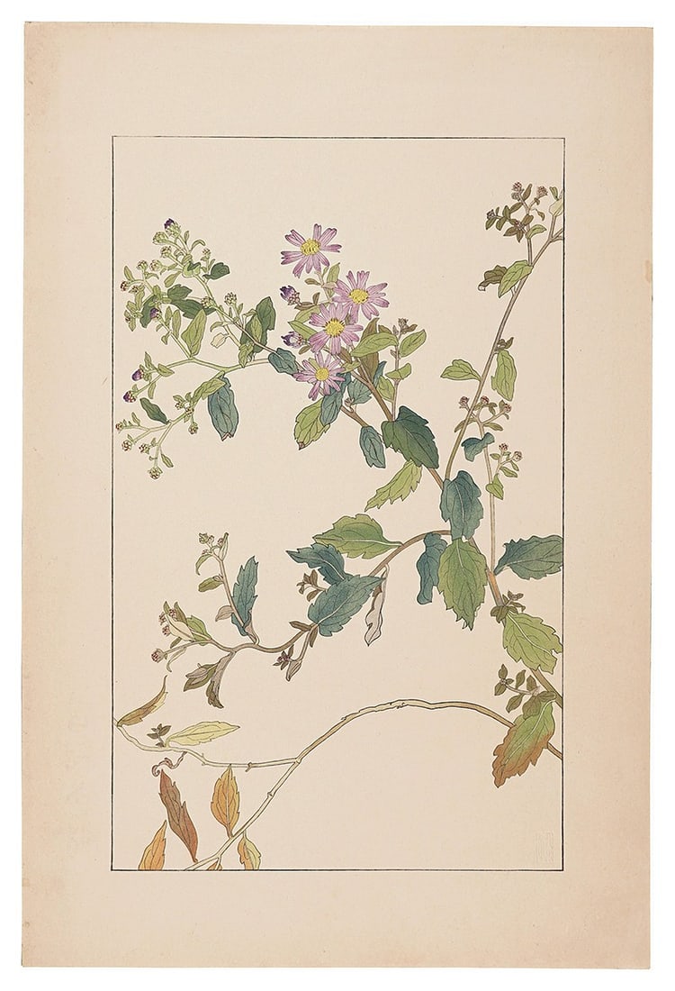 Woodblock Print Sugiura Hisui Wild Aster 1929 Japanese Art Botanical: Woodblock Print Sugiura Hisui Wild Aster 1929 Japanese Art Botanical Item Specifics: Artist: Sugiura Hisui Subject: Botanical Wild Aster Material: Woodblock Print on Paper Style: Japanese Size: 36.2 x
