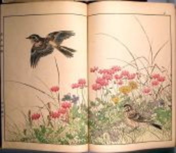 Keinen Kacho Gafu 1891 First Ed 4v Woodblock Print Book Imao Keinen Birds: Keinen Kacho Gafu 1891 First Ed 4v Woodblock Print Book Imao Keinen Birds Item Specifics: Artist: Imao Keinen Subject: Birds and Flowers (Kacho-ga) Material: Paper Woodblock Print Ink Style: Japanese 