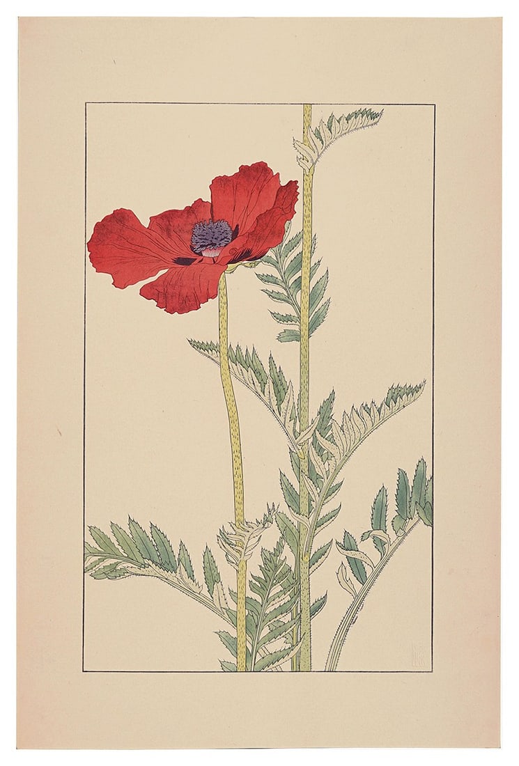 Sugiura Hisui Woodblock Print Papaver orientale Oriental Poppy 1930 Art: Sugiura Hisui Woodblock Print Papaver orientale Oriental Poppy 1930 Art Item Specifics: Artist: Sugiura Hisui Subject: Botanical Oriental Poppy Material: Washi Paper Style: Japanese Size: 36.2 x 22.5 