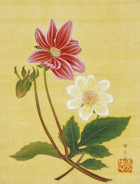 Meiji Japanese Antique Scroll Flower Dahlia Hattori Sessai Woodblock Print: Meiji Japanese Antique Scroll Flower Dahlia Hattori Sessai Woodblock Print Item Specifics: Artist: Hattori Sessai Subject: Botanical Dahlia Material: Washi Paper Ink Silk Scroll Mounting Style: