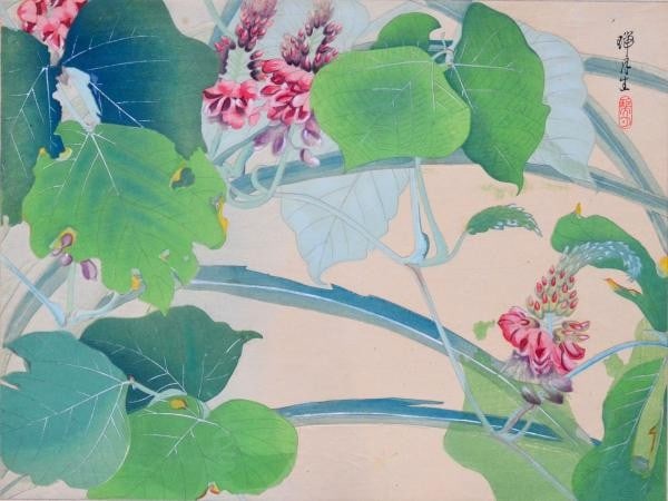 Kudzu flower by Ikeda Mizutsuki woodblock print 1932 Showa 7 Soka Gafu.: Kudzu flower by Ikeda Mizutsuki woodblock print 1932 Showa 7 Soka Gafu. Item Specifics: Artist: Ikeda Mizutsuki Subject: Kudzu / Botanical Flowers Material: Paper / Woodblock Print Style: Japanese Siz