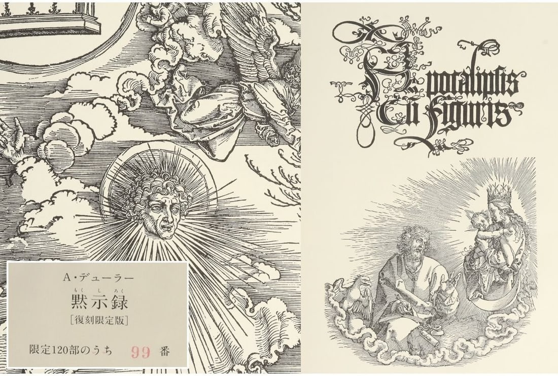 Albrecht Durer "Apocalypsis" 1992 Limited Edition Book No.99/ 120 Japan Shinchosa (1 of 12)