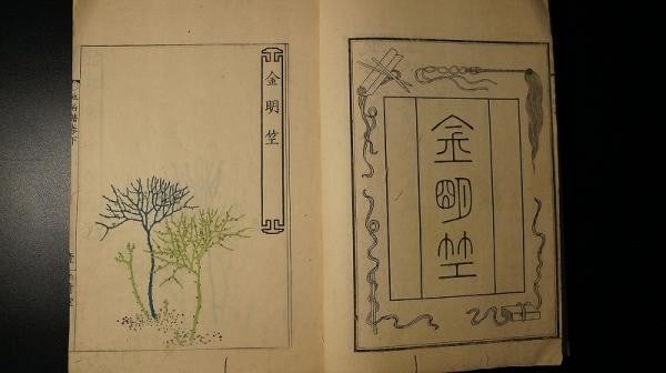 Woodblock Prints 58 Color Fern Shoranpu Botanical Book Whisk 1837 Edo Period (1 of 4)