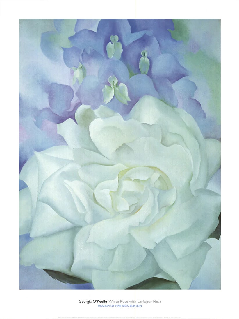 GEORGIA O'KEEFFE White Rose with Larkspur No.2 40" x 30" Offset Lithograph 2002: GEORGIA O'KEEFFE White Rose with Larkspur No.2 40" x 30" Offset Lithograph 2002 Item Specifics: Artist: Georgia O'Keeffe Brand: O'Keeffe Georgia Exact Year: 2002 Height: 40 Item Height: 40 Item Width:
