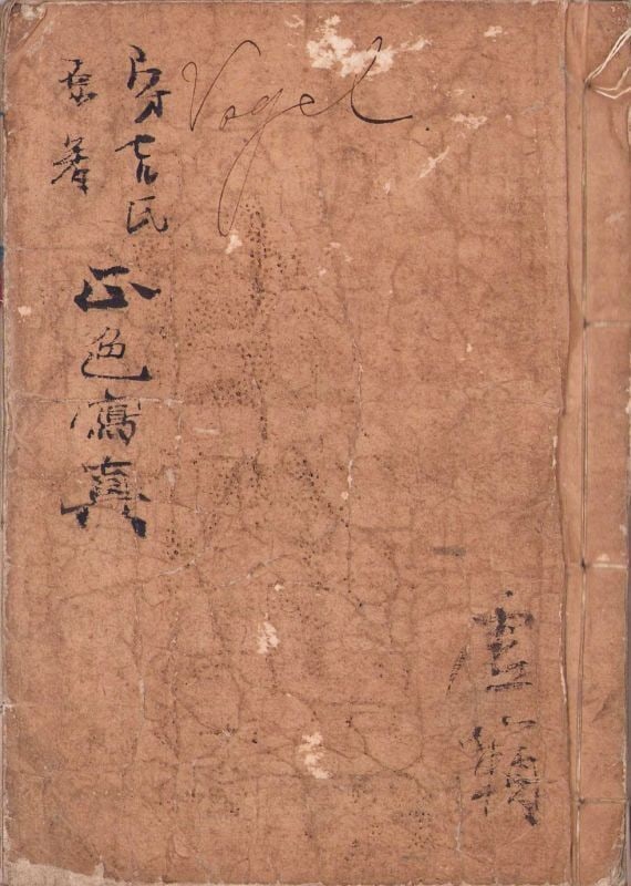 Meiji Edo Seishoku Shashin Hand Painted Antique Japanese Manuscript Art Book: Meiji Edo Seishoku Shashin Hand Painted Antique Japanese Manuscript Art Book Item Specifics: Subject: Naturalism / Botanical Material: Paper Style: Japanese Year Of Production: 2010 Product Disclaimer