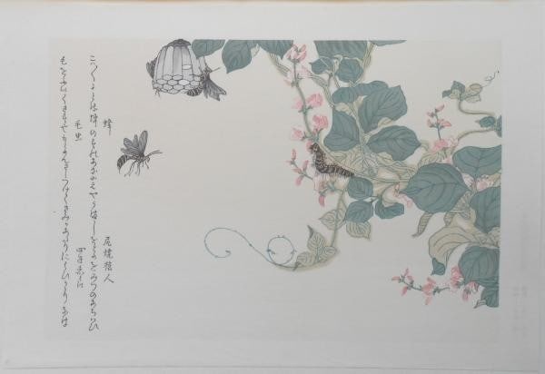 Wasp Caterpillar Utamaro Art Insects Selected Print (1 of 1)