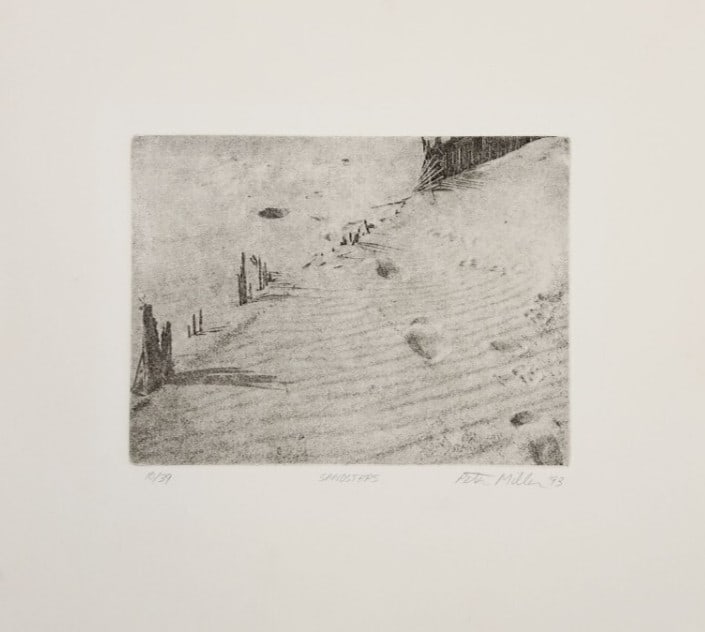Peter Daniel Miller Photogravure Signed 1993 Sand Steps Limited 39: Peter Daniel Miller Photogravure Signed 1993 Sand Steps Limited 39 Item Specifics: Unit Of Sale: Single Piece Artist: Peter Daniel Miller Signed By: Peter Daniel Miller Image Orientation: Portrait Siz