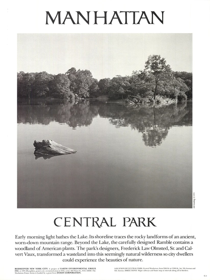 JOEL GREENBERG Central Park 24" x 18" Offset Lithograph 1978 Contemporary New Yo (1 of 4)