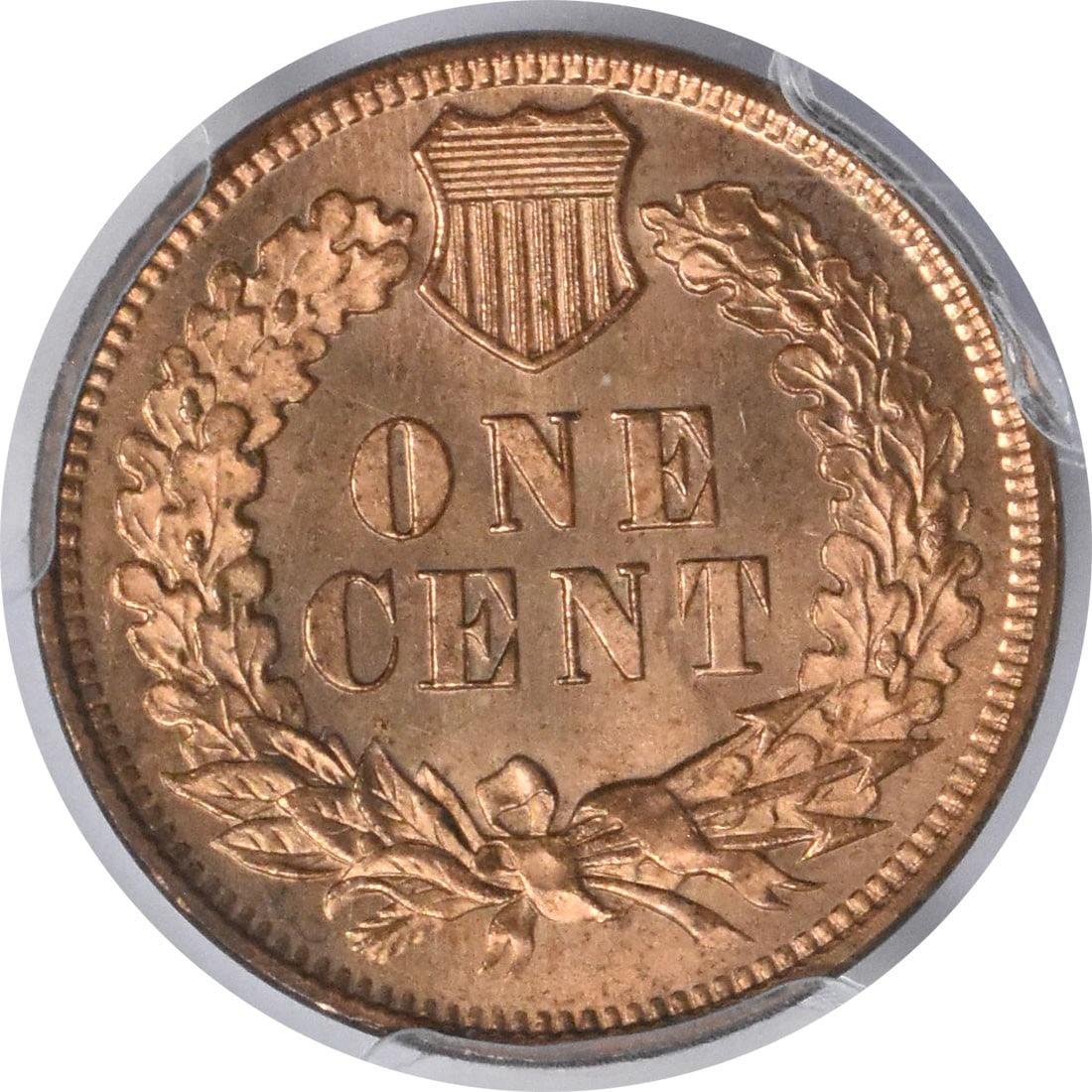 MS66RD Cent PCGS 1896 - 3