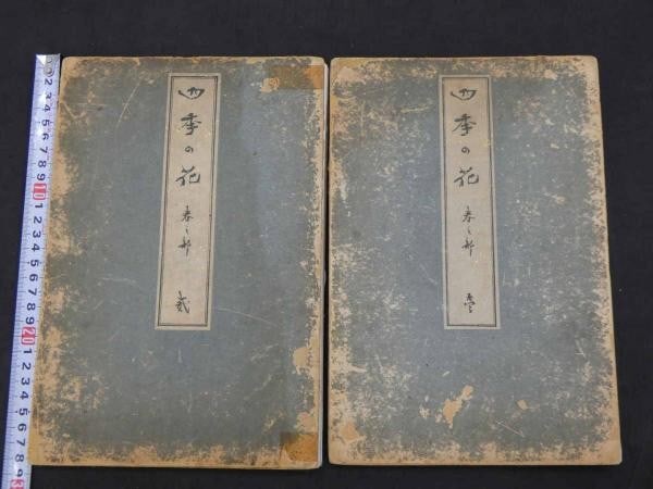 Four Seasons Flowers Woodblock Print Book Vols Spring Sakai Hoitsu 1907: Four Seasons Flowers Woodblock Print Book Vols Spring Sakai Hoitsu 1907 Item Specifics: Artist: Sakai Hoitsu Subject: Japanese woodblock print Material: Paper Style: Japanese Year Of Production: 1907 