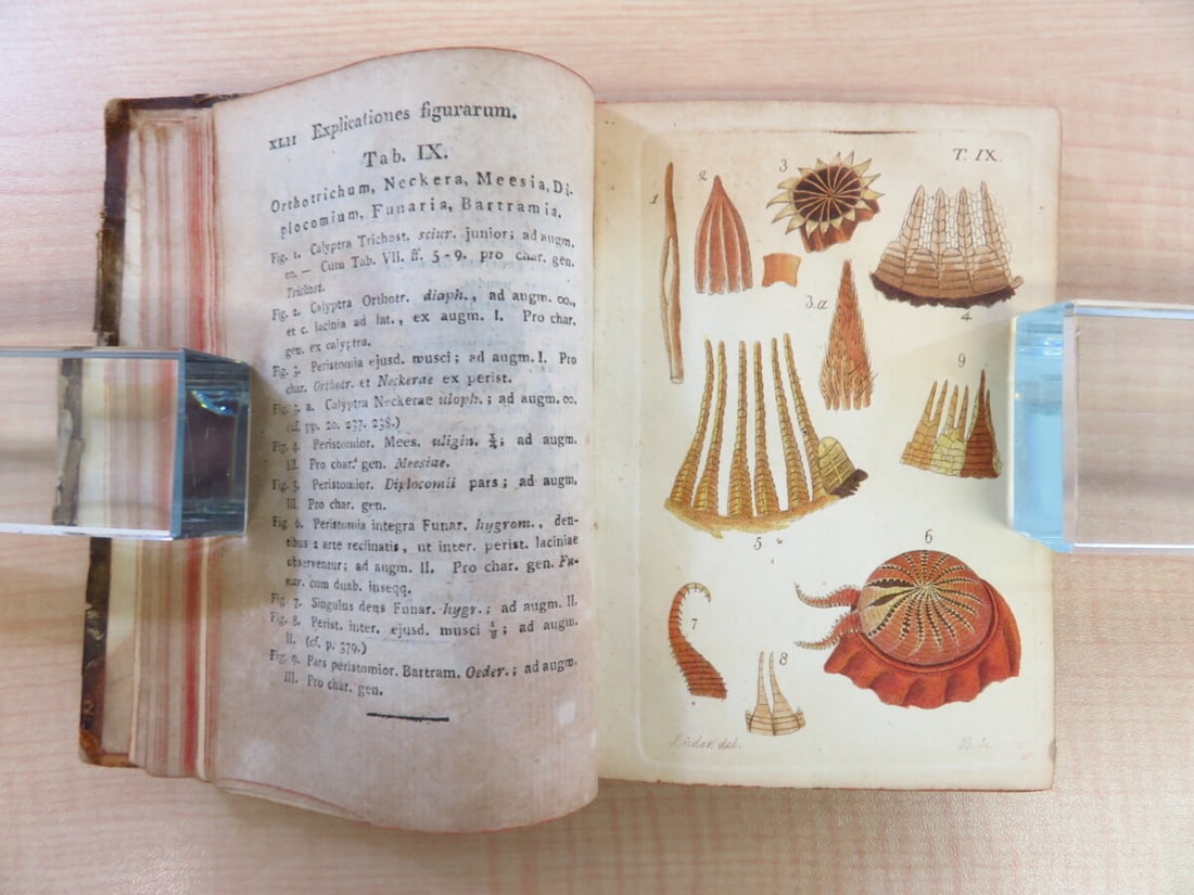 Friedrich Weber ?Botanisches Taschenbuch auf das Jahr 1807?Rare Botanical book (1 of 10)