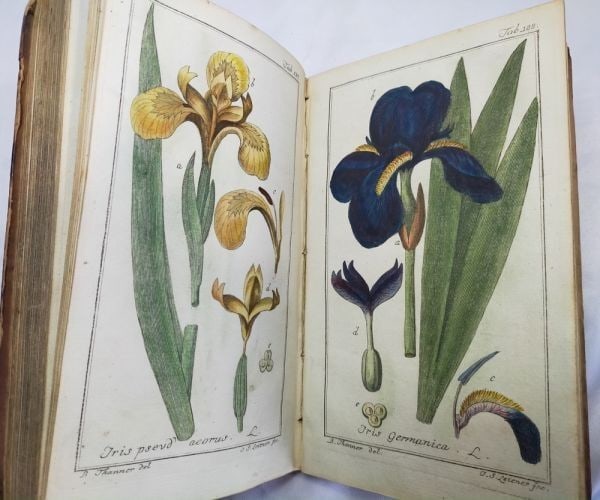 Johannes Zorn Icones Plantarum Medicinalium Vol II 1784 2nd Ed Hand-Colored (1 of 10)
