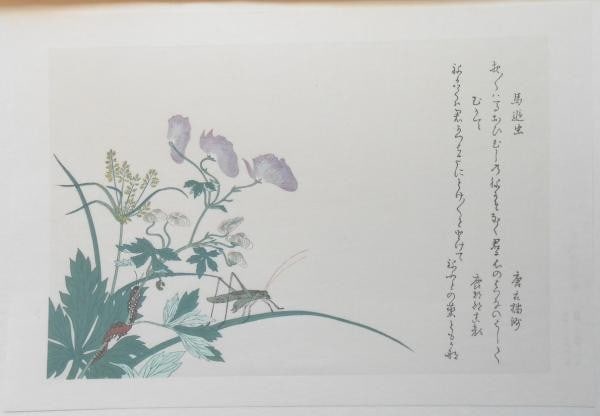 Kitagawa Woodblock Print 26x38cm Katydid Centipede Insects Utamaro Choice (1 of 1)