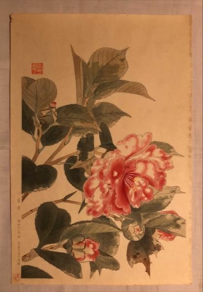 Woodblock Print Double Cherry Blossoms 1936 by Suiko Fukuda Unsodo: Woodblock Print Double Cherry Blossoms 1936 by Suiko Fukuda Unsodo Item Specifics: Artist: Suiko Fukuda Subject: Double Cherry Blossoms Material: Paper Style: Japanese Size: 40 x 27 cm Year Of Product