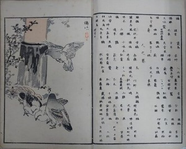 Birds 1881 Kono Bairei Woodblock Print Ehon Book Set 4 Vols Illustrated 100: Birds 1881 Kono Bairei Woodblock Print Ehon Book Set 4 Vols Illustrated 100 Item Specifics: Artist: Kono Bairei Subject: Kacho-ga (Bird-and-flower design) Material: Washi paper Style: Japanese Size: 2