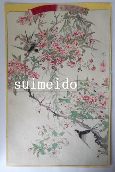 Woodblock Print Cherry Blossom Swallow Gyozan Bird Antique Japanese 36x23cm: Woodblock Print Cherry Blossom Swallow Gyozan Bird Antique Japanese 36x23cm Item Specifics: Artist: Gyozan Subject: Bird and Flower (Kacho-ga) Material: Paper Style: Japanese Size: 36 x 23 cm Product 