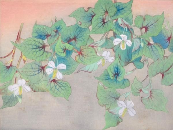 Houttuynia Flower Japanese Woodblock Print Art 1932 Mizuki: Houttuynia Flower Japanese Woodblock Print Art 1932 Mizuki Item Specifics: Artist: Ikeda Mizuki Subject: Botanical Flower Material: Paper Style: Japanese Size: 34 x 46.5 cm Product Disclaimer: Please 