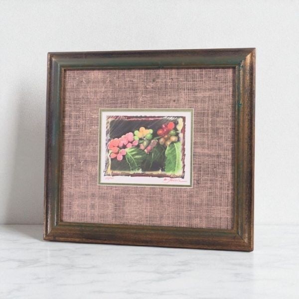 Lovein Mary Signed Edition Limited Art Hawaii Tropical Fruits 18.5x13.5cm (1 of 10)