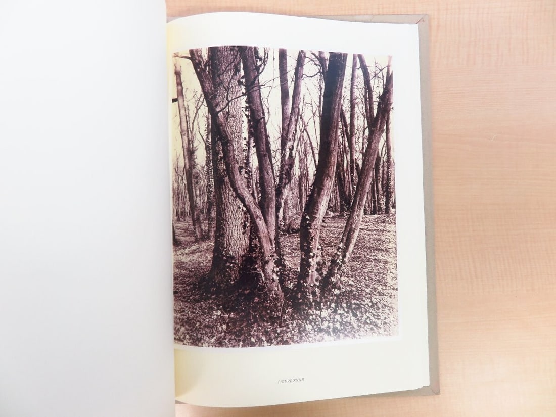 Eugene Atget's TREES 2003 1st Edition Limited 982/ 1000 Large Format Photography (1 of 10)