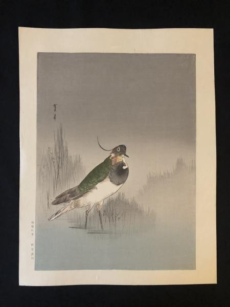 Watanabe Seitei Original Woodblock Print Kacho ga Japanese Art Nishimiya 22x29cm: Watanabe Seitei Original Woodblock Print Kacho ga Japanese Art Nishimiya 22x29cm Item Specifics: Artist: Watanabe Seitei Subject: Kacho-ga (Birds and Flowers) Material: Paper Style: Japanese Size: 22 