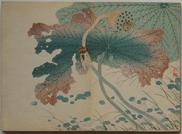Mori Shunkei 1905 Meiji Art Japanese Woodblock Print Book Orihon Insects: Mori Shunkei 1905 Meiji Art Japanese Woodblock Print Book Orihon Insects Item Specifics: Artist: Mori Shunkei Subject: Insects & Natural History (Kacho-ga) Material: Washi Paper Style: Japanese Produc