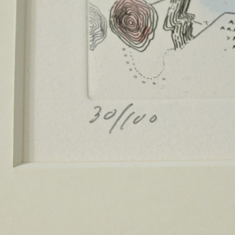 Hand-colored Original Etching Print Framed by Kimura Risaburo Signed - 5