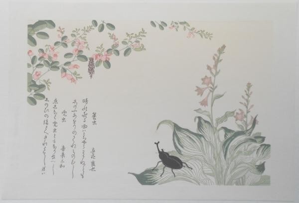 Woodblock Print Bagworm Beetle Insects Mushi Utamaro Kitagawa (1 of 1)
