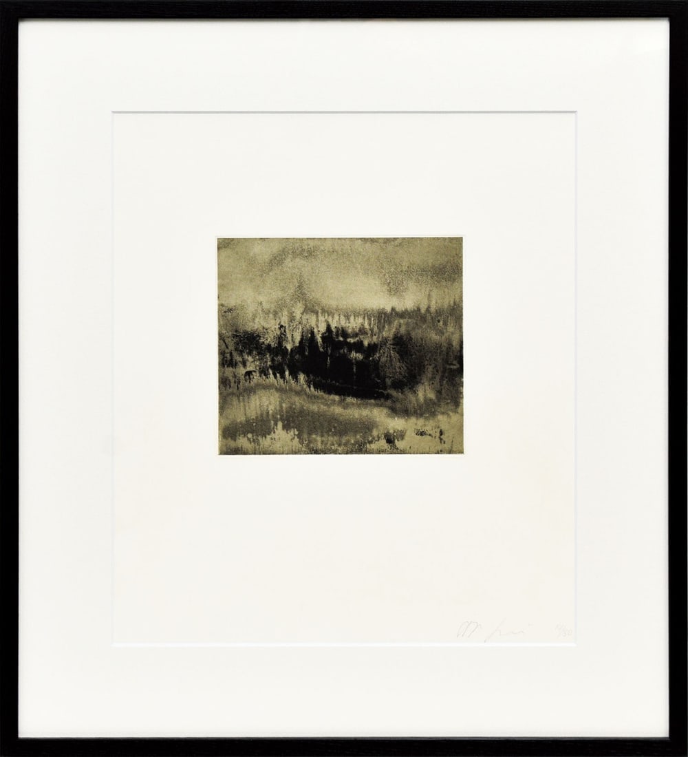 Anish Kapoor Original Etching Pencil Signed Numbered Framed ED30 Jacob Samuel 6 (1 of 9)