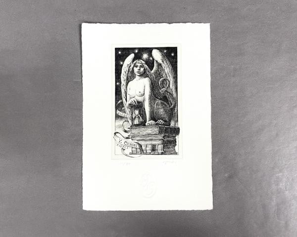 Yukiko Hayashi Etching Ex libris Bookplate No 10 Ltd Ed 11 50 Japan Art: Yukiko Hayashi Etching Ex libris Bookplate No 10 Ltd Ed 11 50 Japan Art Item Specifics: Artist: Yukiko Hayashi Subject: Surrealism / Ex-libris Material: Copperplate Etching on Paper Style: Japanese Pr
