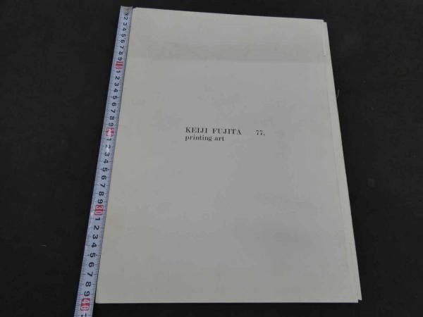 Keiji Fujita 77 Copperplate Etching Art Print 5pcs Set Limited Edition: Keiji Fujita 77 Copperplate Etching Art Print 5pcs Set Limited Edition Item Specifics: Artist: Keiji Fujita Subject: Contemporary / Abstract Material: Paper Style: Japanese Product Disclaimer: Please 
