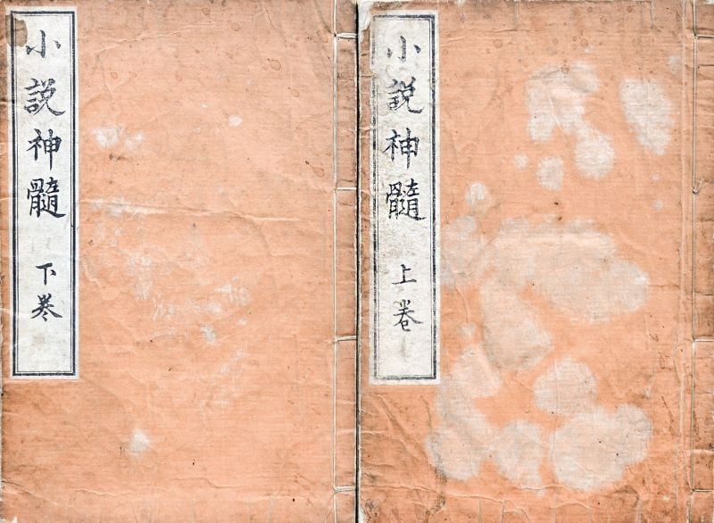 Tsubouchi Shoyo Meiji Era Japanese Book Shosetsu Shinzui 2 Vols: Tsubouchi Shoyo Meiji Era Japanese Book Shosetsu Shinzui 2 Vols Item Specifics: Artist: Tsubouchi Shoyo Subject: Japanese Literature Material: Paper Style: Japanese Year Of Production: 2010 Product Di