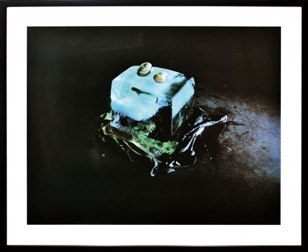 Edward Ed Ruscha Silk Screen Print Closed Tropical Fish Series Signed ED53 1974 (1 of 10)