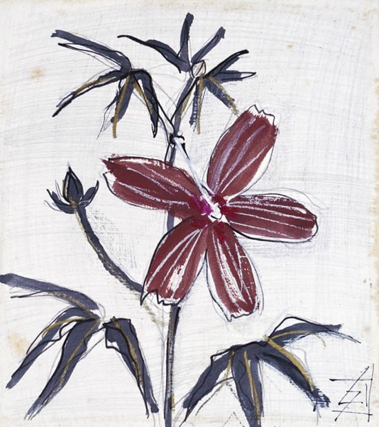 Suda Hibiscus Flower Japanese Shikishi Signed Modern Art Painting Kokuta: Suda Hibiscus Flower Japanese Shikishi Signed Modern Art Painting Kokuta Item Specifics: Artist: Kokuta Suda Subject: Hibiscus Flower Material: Ink and pigment on shikishi board Style: Japanese Year O