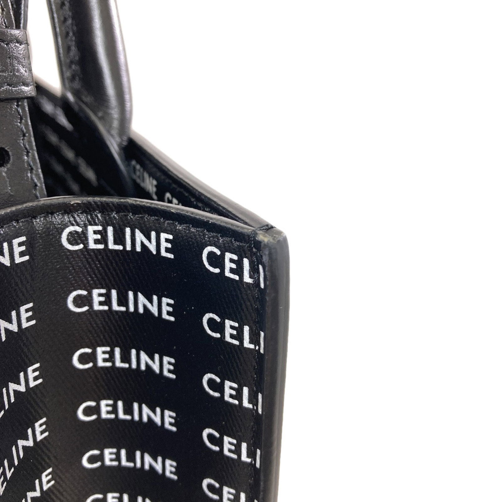 Celine Handbag Pvc - 10