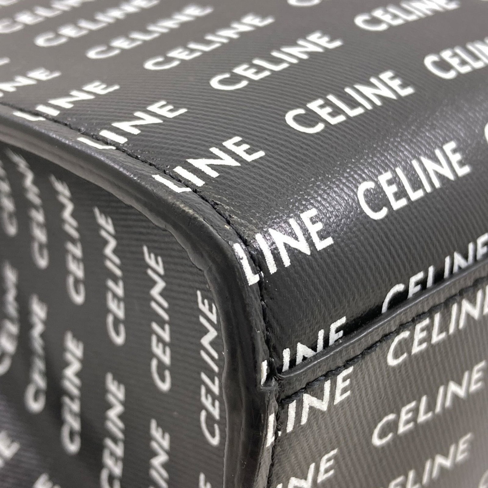Celine Handbag Pvc - 19