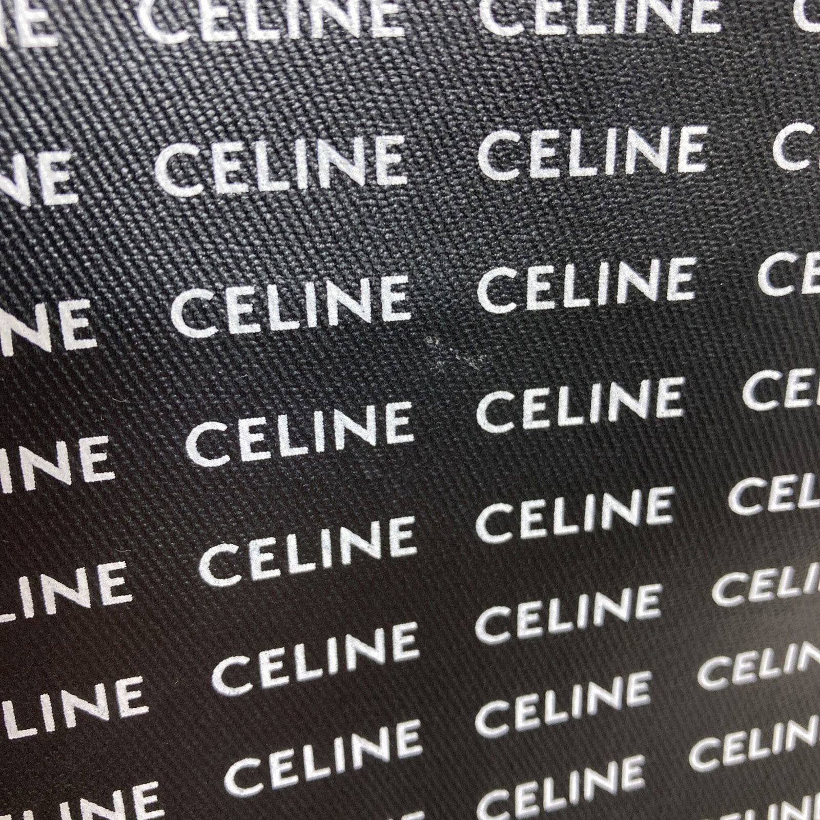 Celine Handbag Pvc - 9