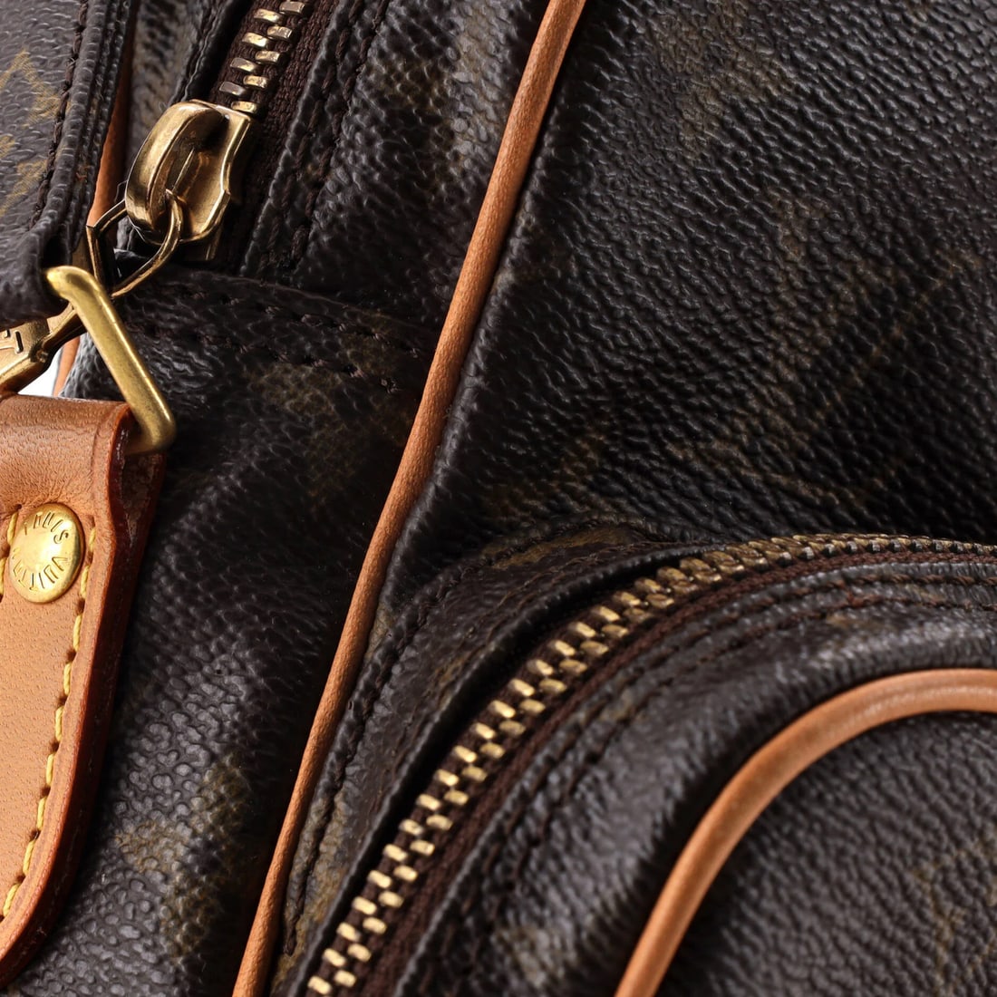 Vuitton Louis Amazone Monogram Canvas - 6