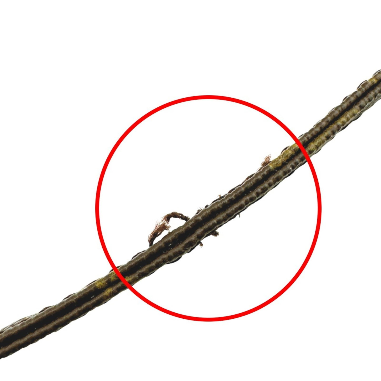Monogram Strap Louis Vuitton - 10