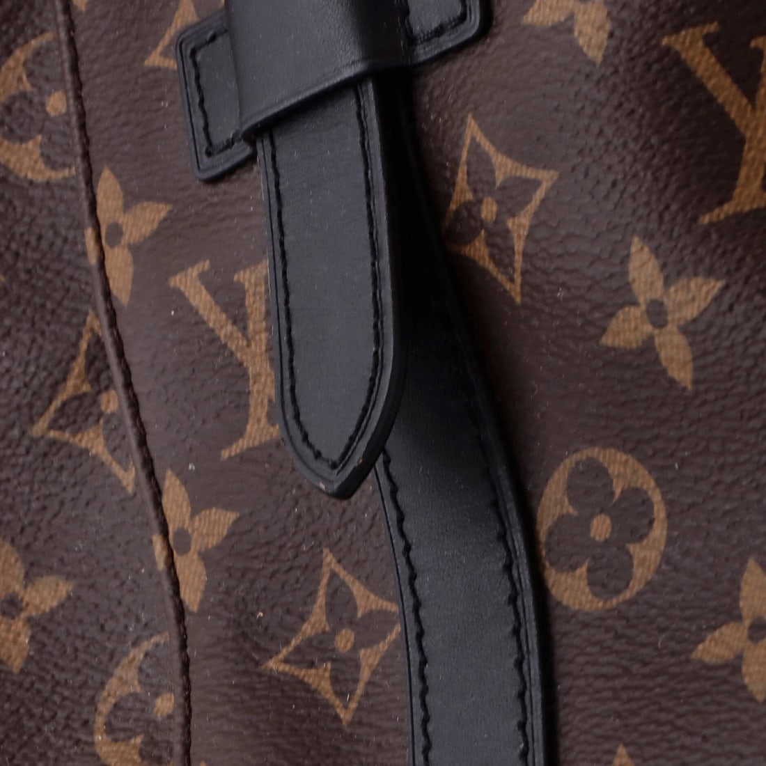 Macassar Monogram Canvas Christopher Louis Vuitton MM Backpack - 6