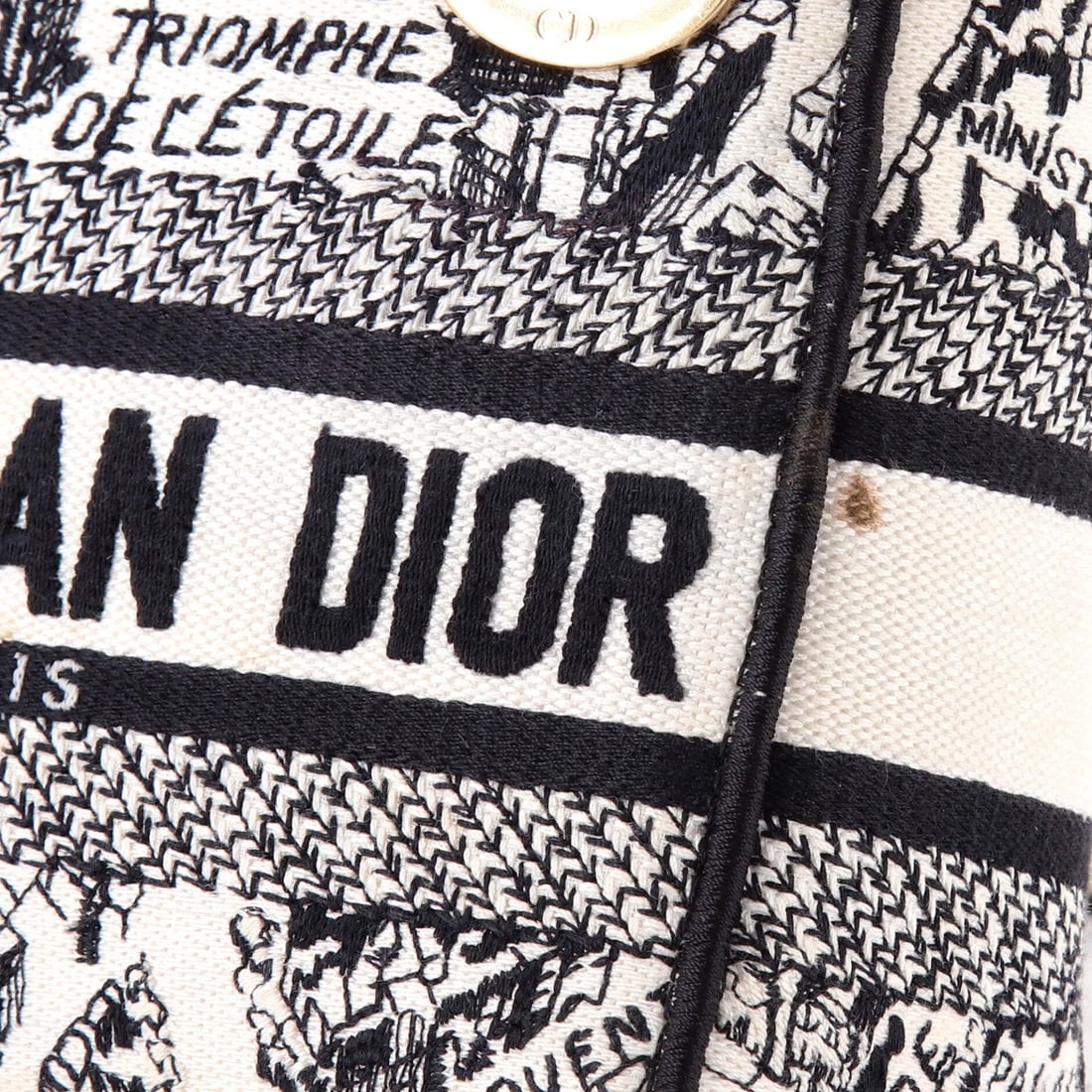 Dior Lady D-Lite Canvas Embroidered Mini Bag - 6