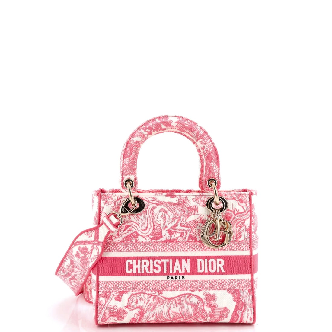 Lady Dior Toile de Jouy Christian D-Lite Embroidered Canvas Bag: Lady Dior Toile de Jouy Christian D-Lite Embroidered Canvas Bag The Lady Dior Toile de Jouy Christian D-Lite Embroidered Canvas Bag features a striking pink and white print on its canvas exterior,